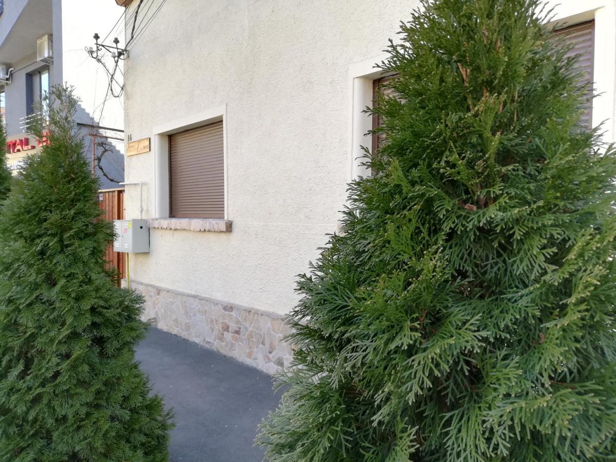 Arthouse Lucrezia Timişoara Exterior foto