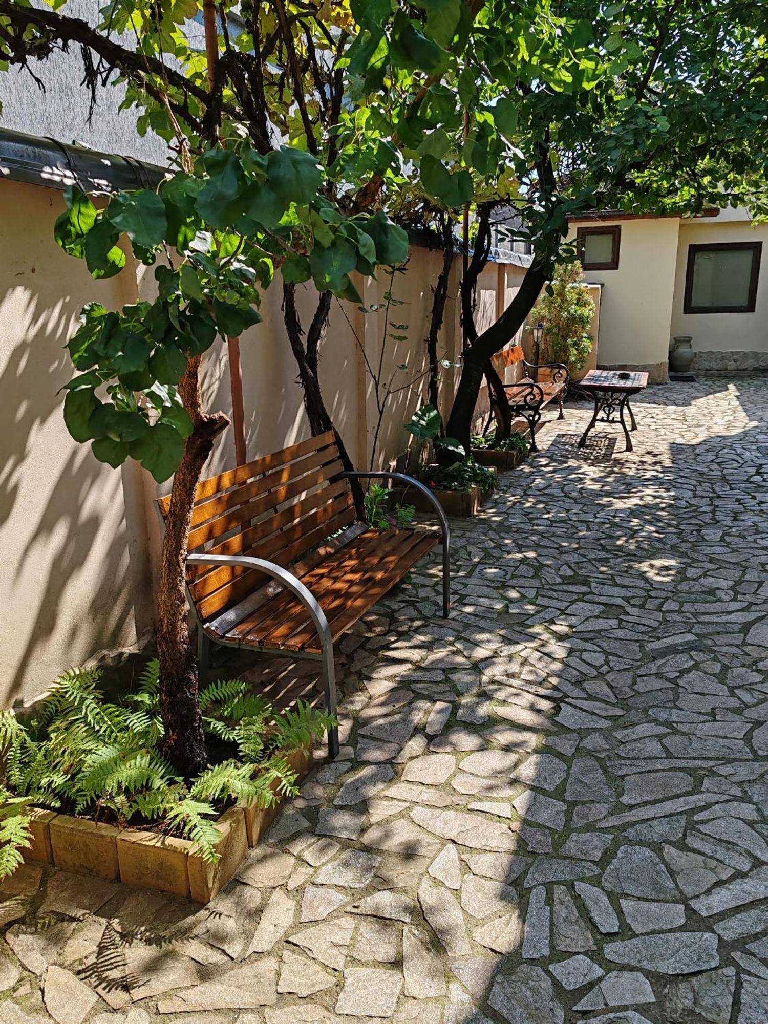 Arthouse Lucrezia Timişoara Exterior foto